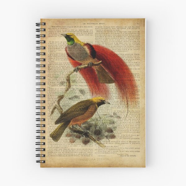 Item preview, vintage print, on old book page - birds of paradise designed and sold by Art by Lilia.
