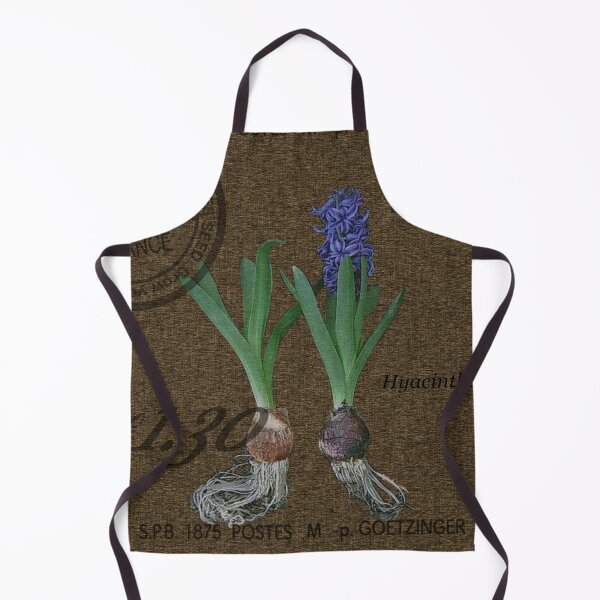 French country style of my Hyacinths. Apron