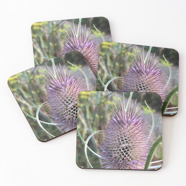 Item preview, Purple Oregon Thistle designed and sold by LiveWildnSacred.