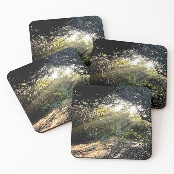 Item preview, Forest Sunbeams  designed and sold by LiveWildnSacred.