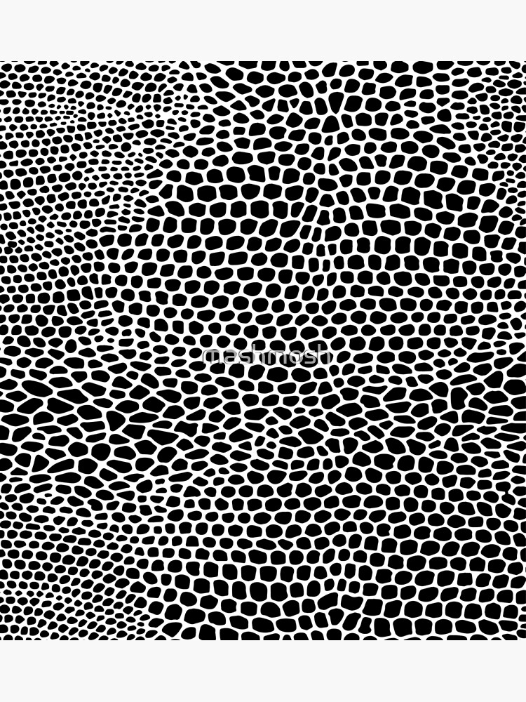 Poster Snake python skin texture. Seamless pattern black on white