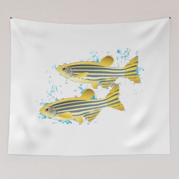 Item preview, zebrafish designed and sold by LeMaya80.