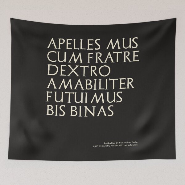 Item preview, Graffiti of Pompeii - APELLES MUS CUM FRATRE DEXTRO... designed and sold by MetaPhyStore.