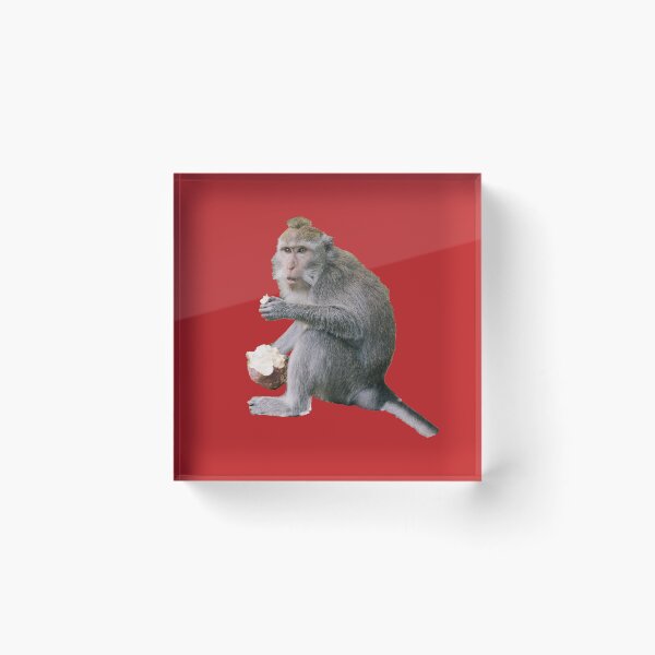Item preview, Monkey photography / Chimp lover /  Gorilla  designed and sold by lukas754.