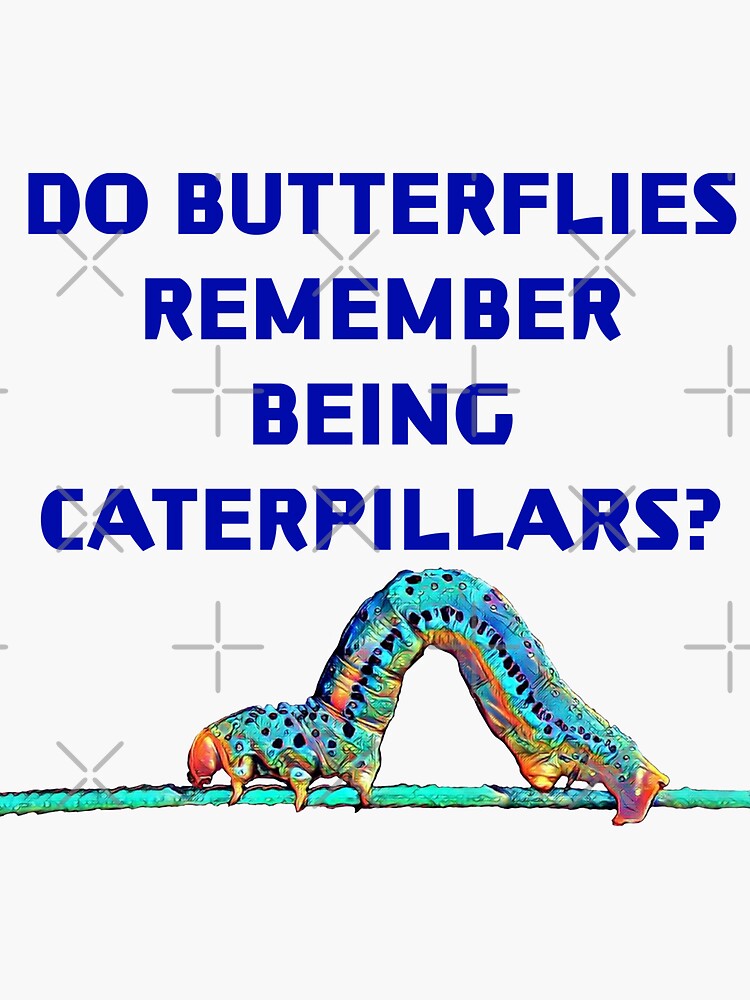 "Do Butterflies Remember Being Caterpillars?" Sticker by couragetoday