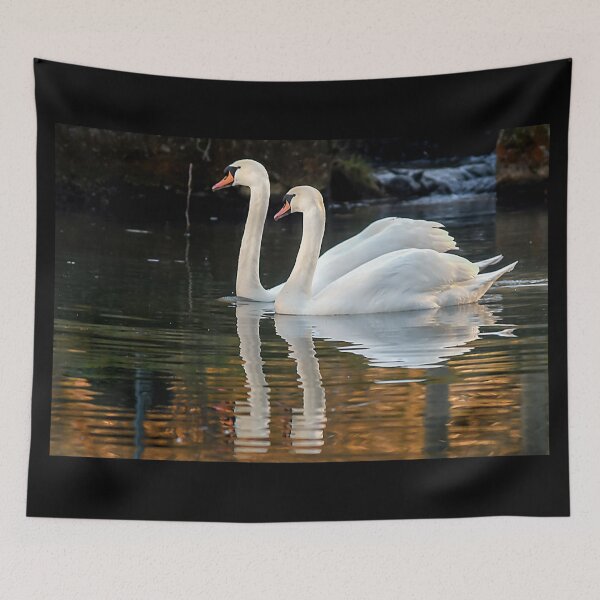 Item preview, Swans love designed and sold by Denis Charmot.
