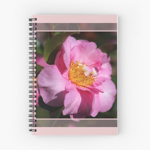 Item preview, Camellia Dedication designed and sold by Joy Watson - Natural Light Photography .