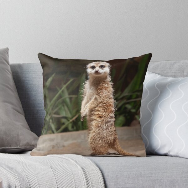 Item preview, meerkat stands on a rock and looks straight ahead designed and sold by nataliavavilina.