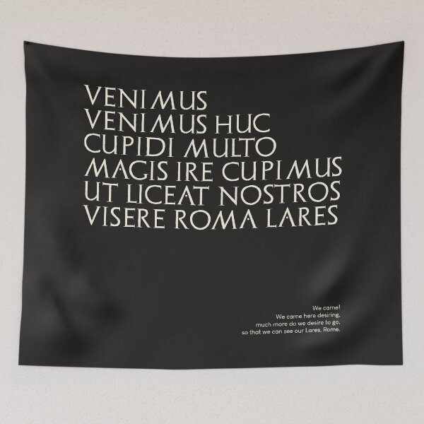 Item preview, Graffiti of Pompeii - VENIMUS VENIMUS HUC... designed and sold by MetaPhyStore.
