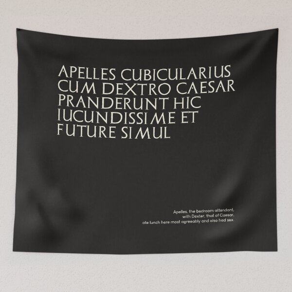 Item preview, Graffiti of Pompeii - APELLES CUBICULARIUS CUM DEXTRO... designed and sold by MetaPhyStore.