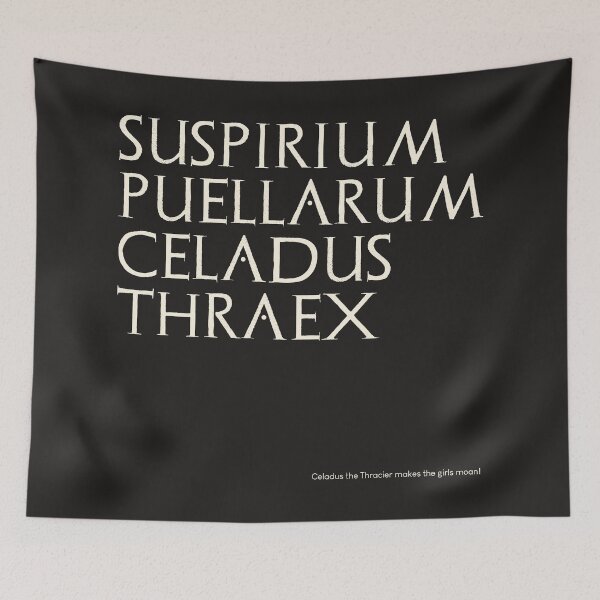 Item preview, Graffiti of Pompeii - SUSPIRIUM PUELLARUM CELADUS THRAEX designed and sold by MetaPhyStore.