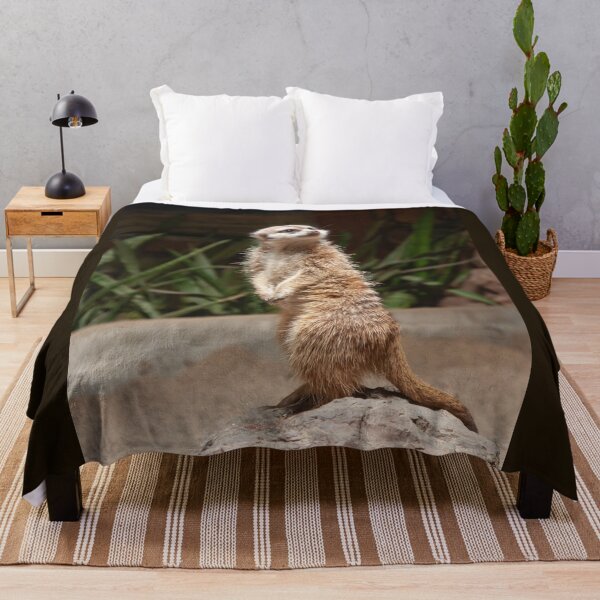Item preview, meerkat stands on a rock and looks up to the right designed and sold by nataliavavilina.