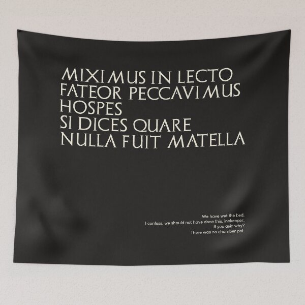 Item preview, Graffiti of Pompeii - MIXIMUS IN LECTO FATEOR... designed and sold by MetaPhyStore.