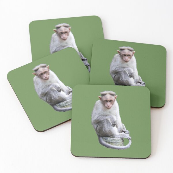 Item preview, Monkey photography / Chimp lover /  Gorilla  designed and sold by lukas754.