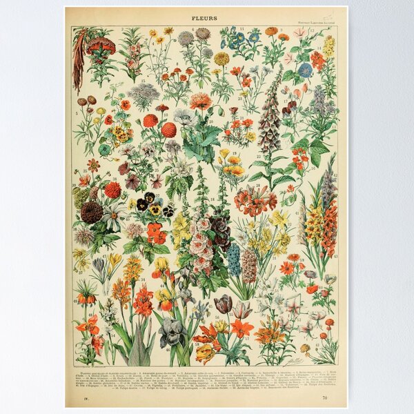 Item preview, adolphe millot poster designed and sold by AntiqueGallery.