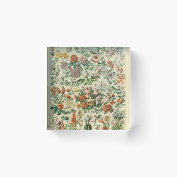 Item preview, adolphe millot fleurs 1800s designed and sold by AntiqueGallery.