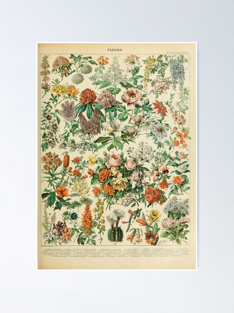 Adolphe Millot Vintage Fleurs Flower 1909 Wall Tapestry by