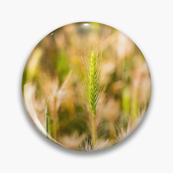 Item preview, false barley nature photo designed and sold by Valdaliso.