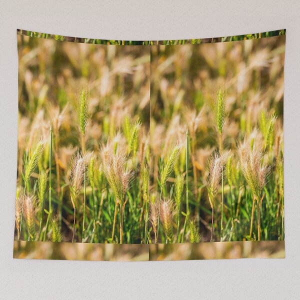 Item preview, false barley nature photo designed and sold by Valdaliso.