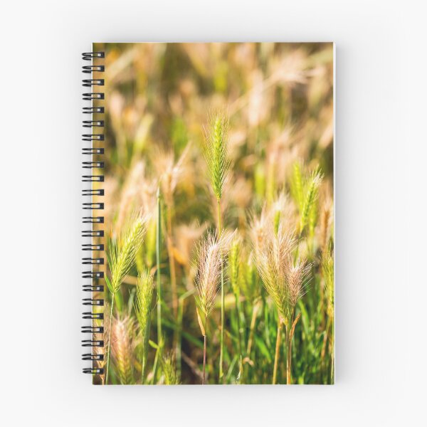 Item preview, false barley nature photo designed and sold by Valdaliso.