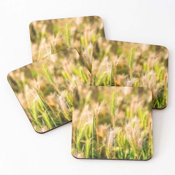 Item preview, false barley nature photo designed and sold by Valdaliso.