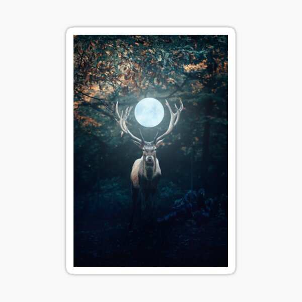 Shine Your Light Sticker