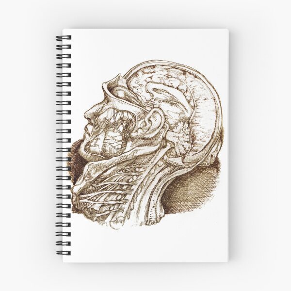 Item preview, Head Dissection designed and sold by lisatc.