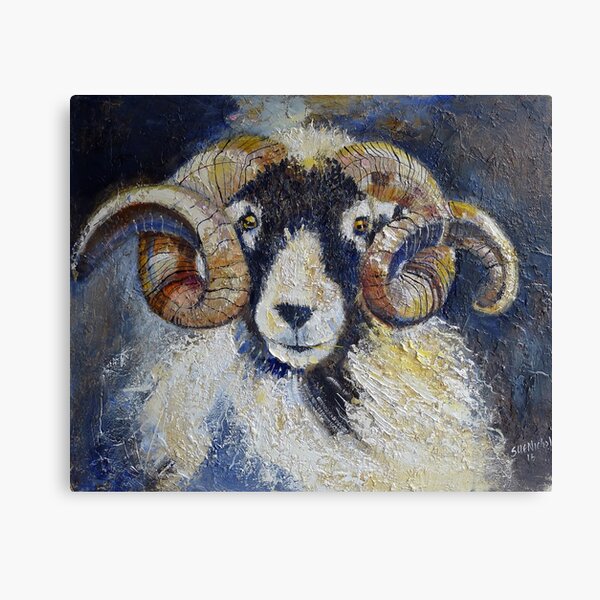 Swaledale Sheep Gifts & Merchandise | Redbubble