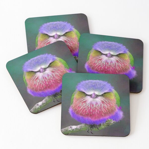 Item preview, EcoBird designed and sold by Billlogan.
