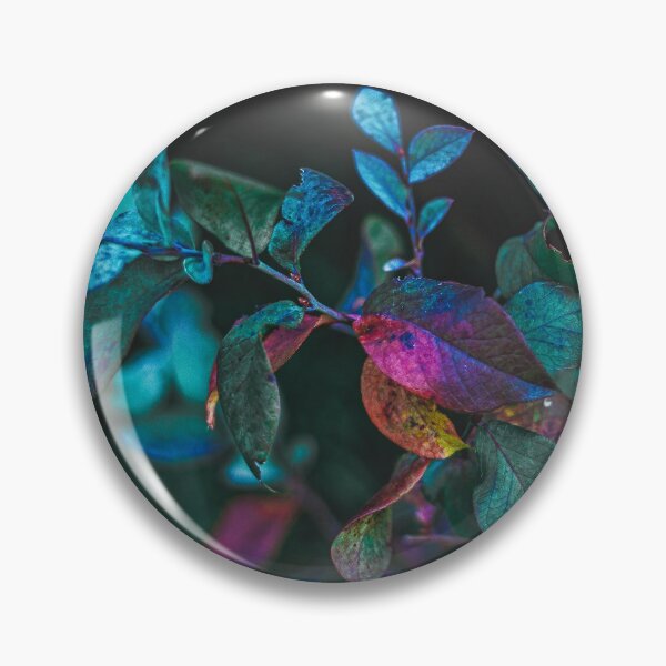 Backyard Pandora Pin