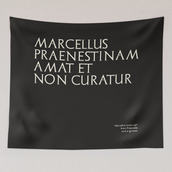Item preview, Graffiti of Pompeii - MARCELLUS PRAENESTINAM... designed and sold by MetaPhyStore.