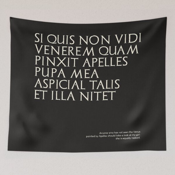 Item preview, Graffiti of Pompeii - SI QUIS NON VIDI VENEREM... designed and sold by MetaPhyStore.