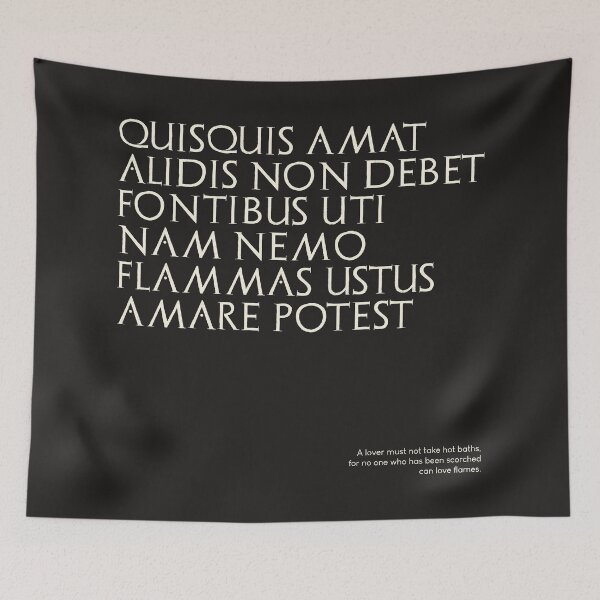 Item preview, Graffiti of Pompeii - QUISQUIS AMAT ALIDIS... designed and sold by MetaPhyStore.
