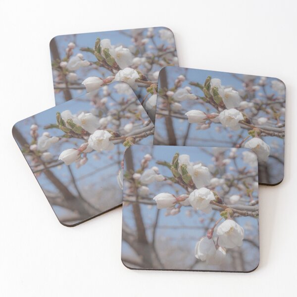Item preview, Breezy Cherry Blossom Spring designed and sold by thegraypocket.