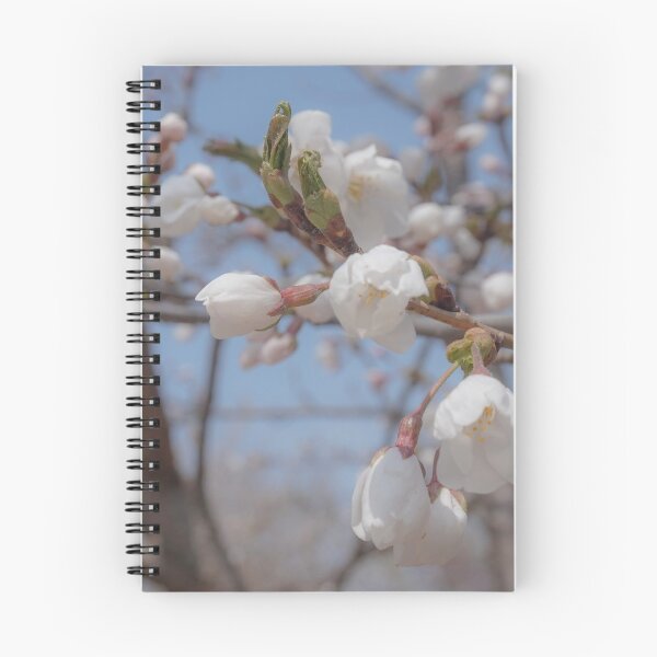 Item preview, Breezy Cherry Blossom Spring designed and sold by thegraypocket.