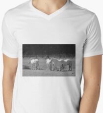 Percheron Men's V-Neck T-Shirt