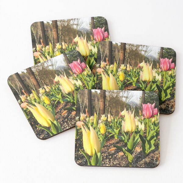 Item preview, Pink and Yellow Tulips designed and sold by thegraypocket.