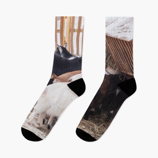 Item preview, goats on the farm eat hay in winter designed and sold by nataliavavilina.
