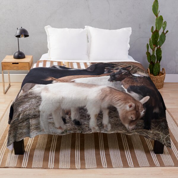 Item preview, goats on the farm eat hay in winter designed and sold by nataliavavilina.