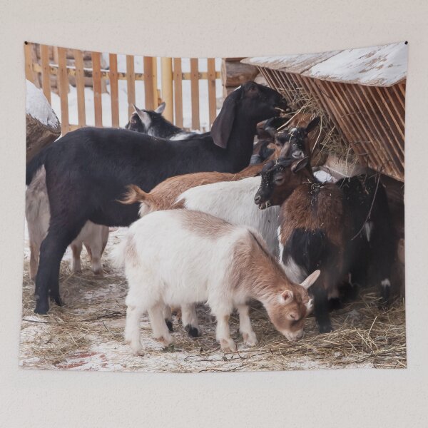 Item preview, goats on the farm eat hay in winter designed and sold by nataliavavilina.
