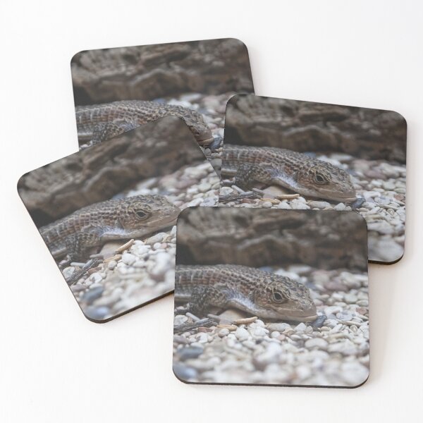 Item preview, lizard close-up on white rocks designed and sold by nataliavavilina.