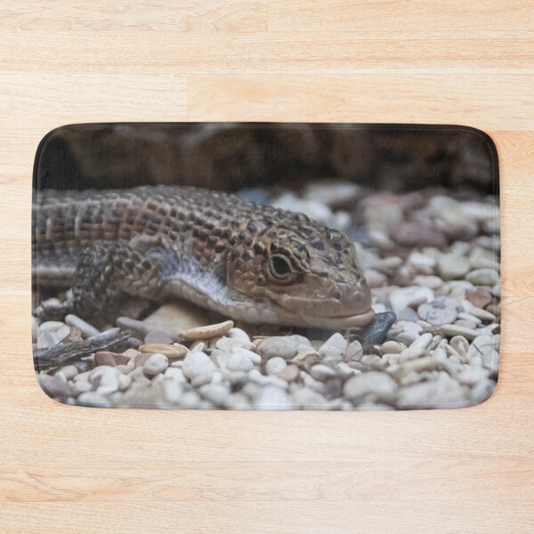 Item preview, lizard close-up on white rocks designed and sold by nataliavavilina.