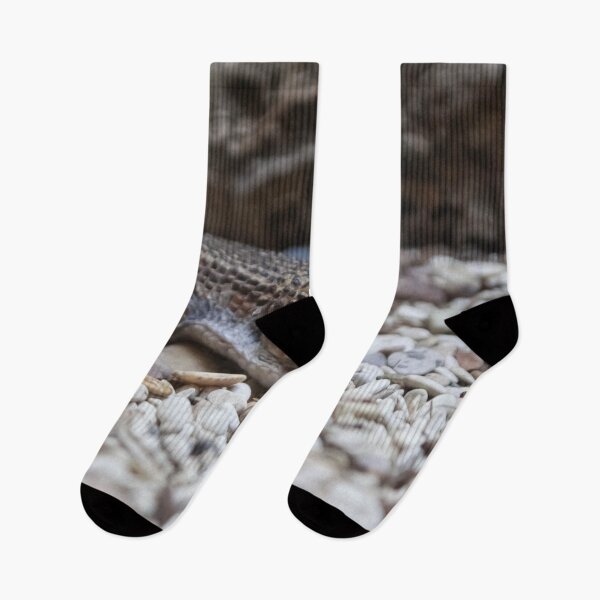 Item preview, lizard close-up on white rocks designed and sold by nataliavavilina.