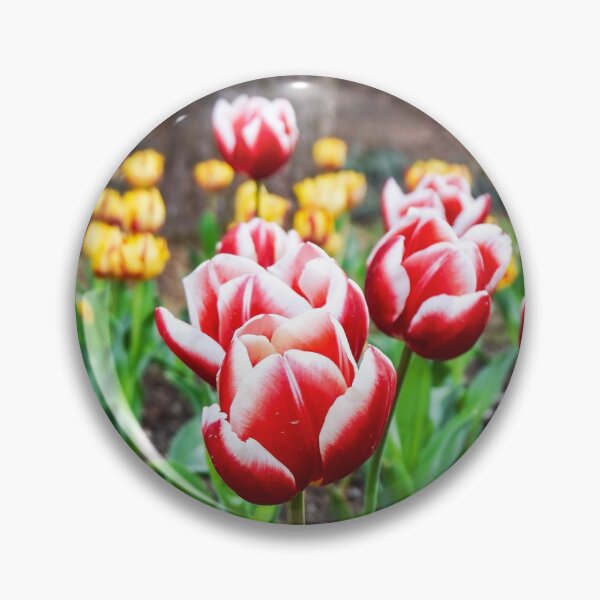 Item preview, Light Red and White Tulips designed and sold by thegraypocket.