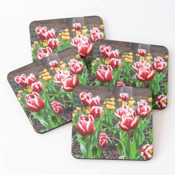 Item preview, Light Red and White Tulips designed and sold by thegraypocket.