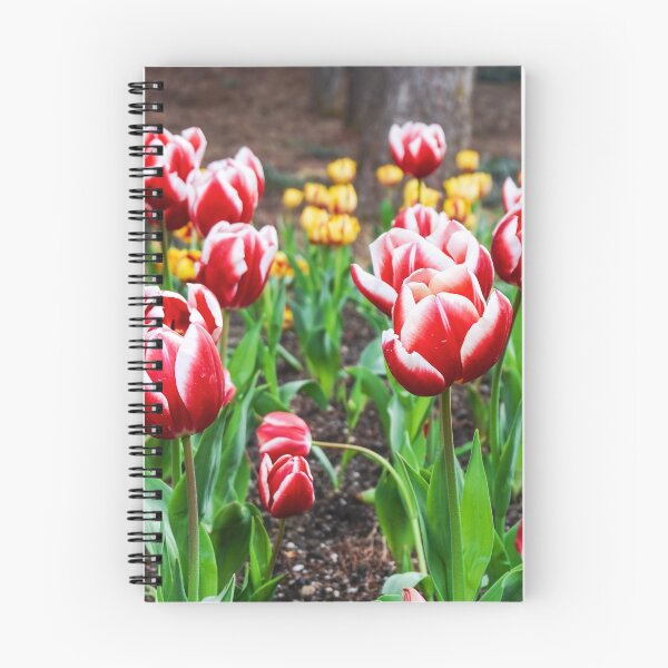 Item preview, Light Red and White Tulips designed and sold by thegraypocket.
