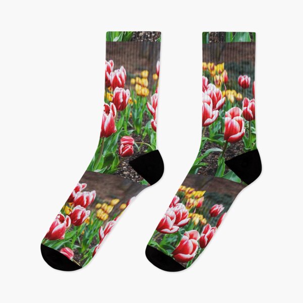 Item preview, Light Red and White Tulips designed and sold by thegraypocket.