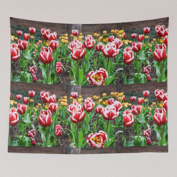 Item preview, Light Red and White Tulips designed and sold by thegraypocket.