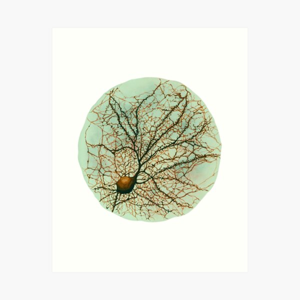 Dendritic tree and spines of an hippocampal neuron - watercolor - green Art Print