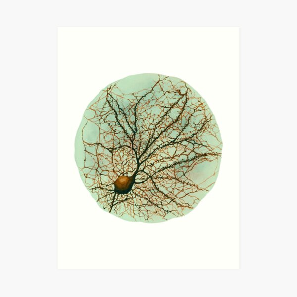geeks de medicina y psicología por ahí!
Obra: representación de la neurona cultivada en el acuario.
Lámina artística